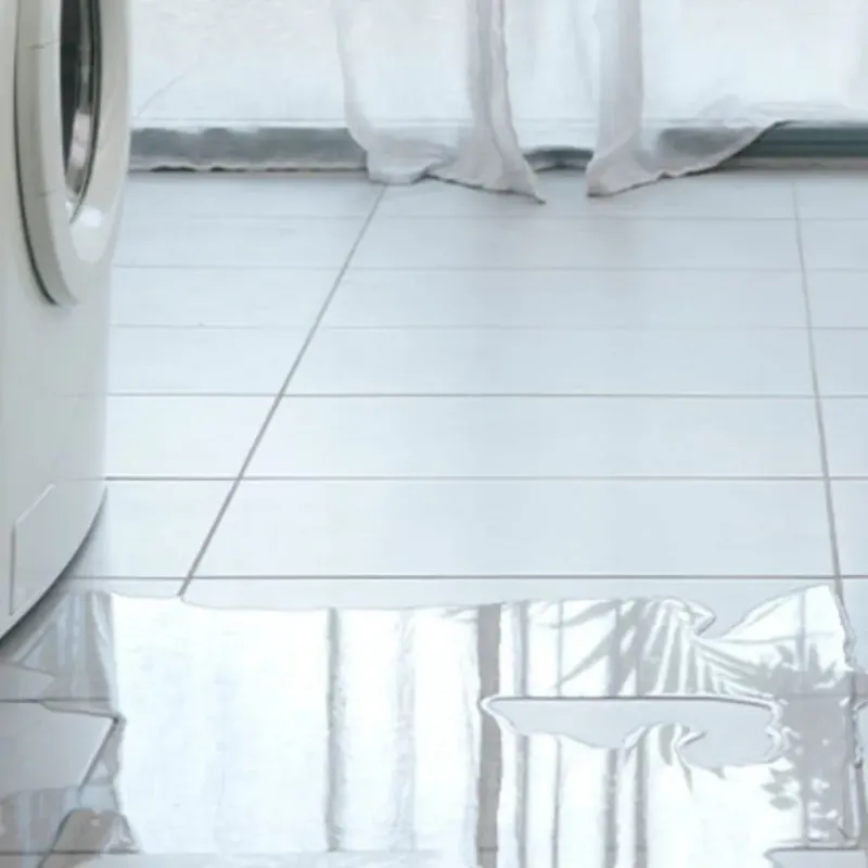Appliance Leak Cleanup in Los Serranos, CA
